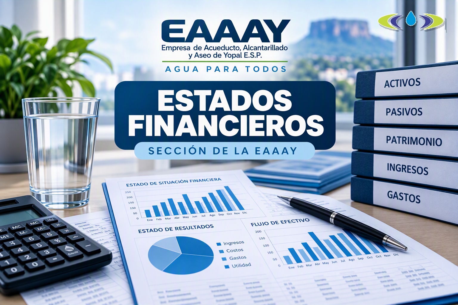 Estados Financieros