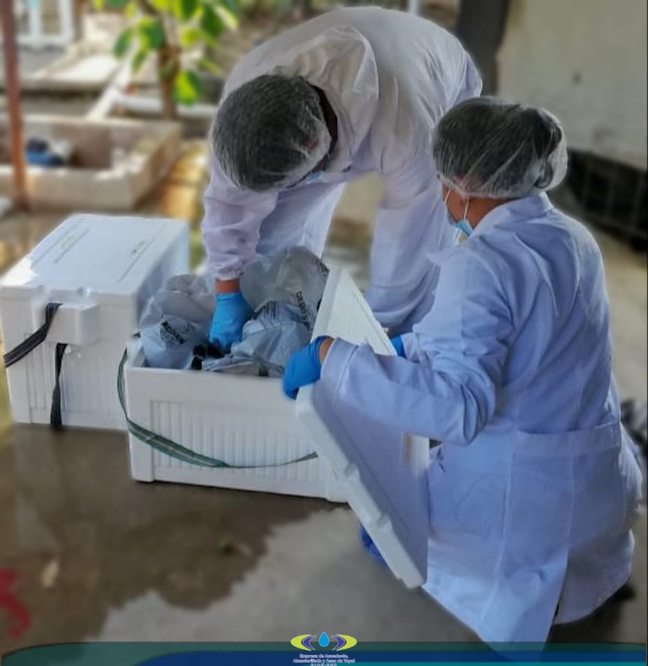 ACCIONES DESARROLLADAS POR LA EAAAY, GARANTIZAN LA CALIDAD DEL AGUA SUMINISTRADA EN LA CIUDAD